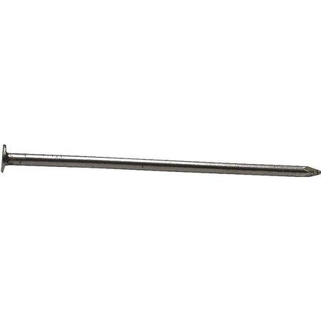 PRO-FIT Common Nail, 2-1/2 in L, 8D, Electro Galvanized Finish 131158